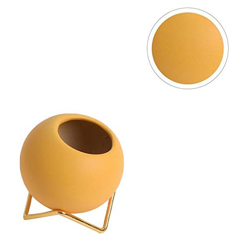 Pentole Pianta 1Pc Vaso di Fiori Planter Macetas Vaso Groot Macetas Decorativas Semplice Durevole succulente Vaso da Fiori Vaso di Fiori for L'Ufficio per Tutte Le Piante da casa, i Fiori, Le Erbe