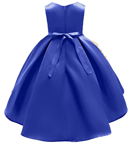 Girls Dresses Children's Dress Clothing Girls' Vest Dress Princess Dress Performance Dress Embroidered Dress2