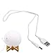 DC Charging Cord for LOGROTATE 4.7 inch Moon Lamp, Round Port