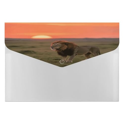 Lion on African Savannah Folder Accordion File Organizer Expanding File Folder with 6 Pockets Portable Receipt Paper Bill Document Organizer Letter A4 Size Filing Folder Office Supplies