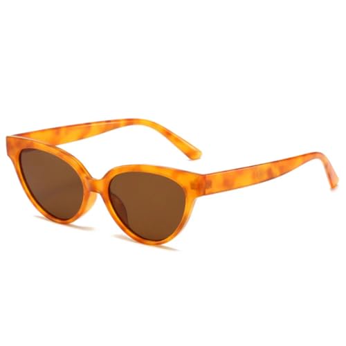 Lunettes de soleil œil de chat rétro finitions gelée