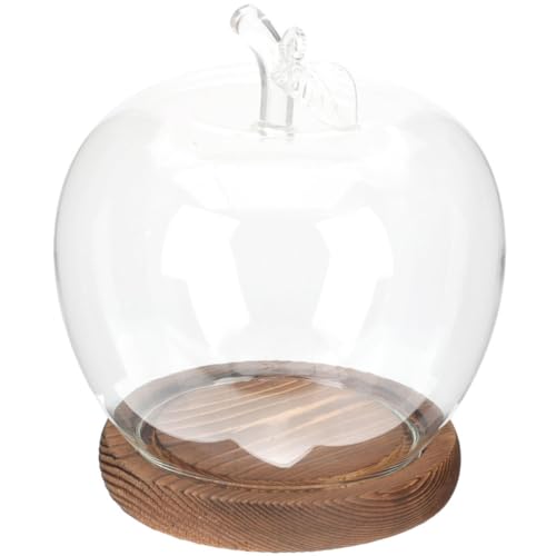 Cubierta de vidrio para flores preservadas Healeved con base de madera decorativa 2
