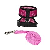 jojofuny Verstellbares Hühnergeschirr mit Leine aus Atmungsaktivem Canvas Leichtes Haustier Geschirr für Hennen und Hähne Komfortabel und Langlebig Geeignet für Training und Spaziergänge