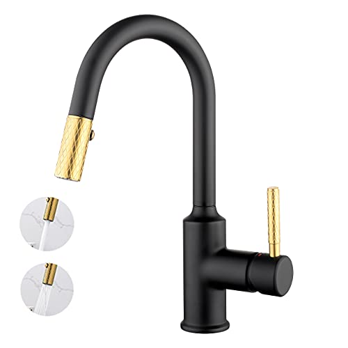 CREA Spültischarmaut Wasserhahn Armatur mit 2 Strahlen Brause Küche...