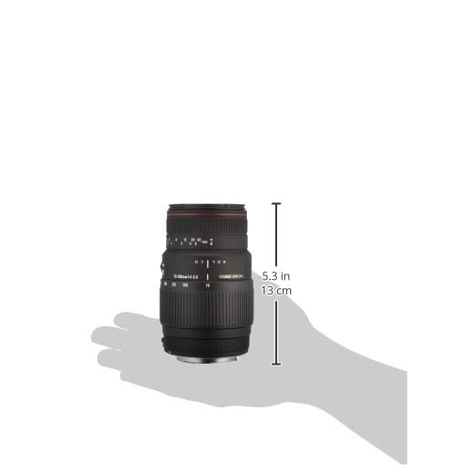 Sigma 70-300mm f/4-5.6 Telephoto Lens