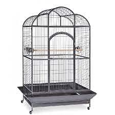 CENTRAL FISH AQUARIUM Foldable Metal Bird Cage For Macaw,Green Parrot,Umbrella,Cucktoo&All Big Birds With Stand,Wheel With 3Steel Cups,Perch&Tray L:131.5 X B:102 X H:185Cms/Bar Spacing:24Mm (B0949GKKTJ) Amazon Price History, Amazon Price Tracker