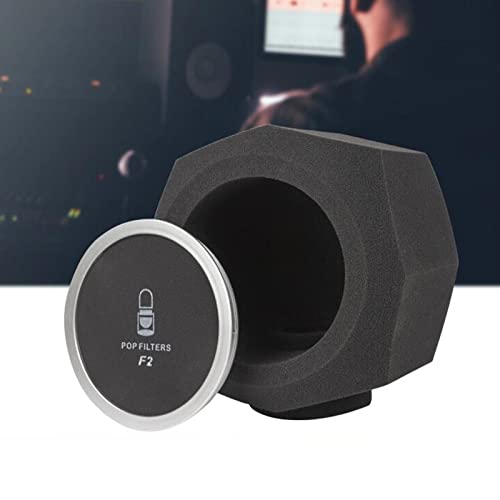 F2 Microfone Tela Acústico Isolamento Escudo à som Pára-brisas Profissional Portátil com Capa de Mal