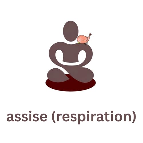 Couverture de Assises centr&eacute;es sur la respiration