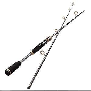 hengel 2 secties M Vermogen Lure Fishing Rod Lure Gewicht 7-25g Canne-black_2.4m Hengel (Color : Black, Size : 2.1m)