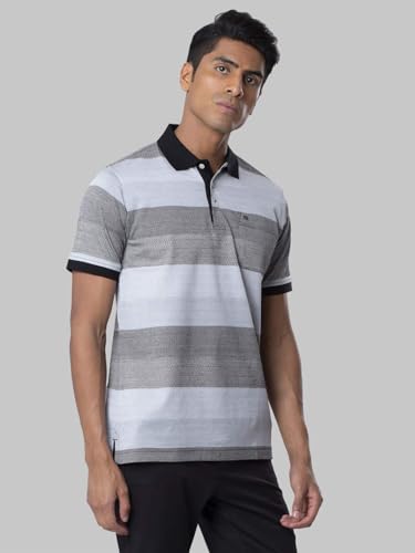 Image of Raymond Men's Regular Fit Polo