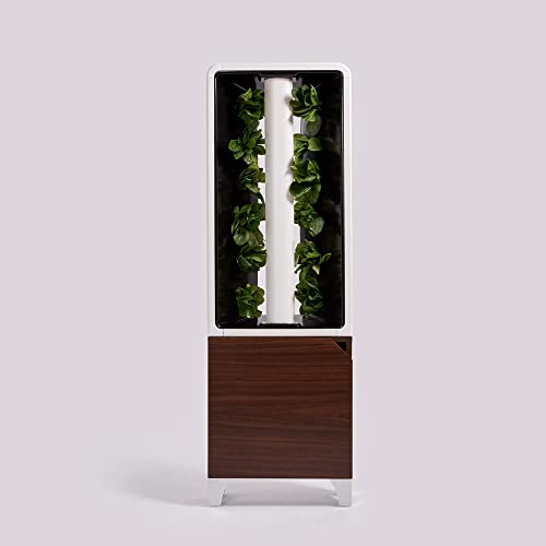 Just Vertical EVE Indoor Hydroponic Garden | Modern Furniture-Style Vertical