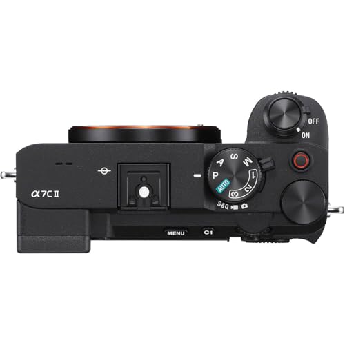 Image of Sony a7C II Mirrorless Camera (Black) with FE 28-60mm f /4-5.6 Lens+ Sony GP-VPT3 Wireless Shooting Grip + SanDisk Extreme Pro 128GB + Camera Carrying Case + More (14pc Bundle)