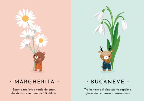 La Natura. Le Mie Prime Carte. Ediz. A Colori. Con 30 Carte - 5