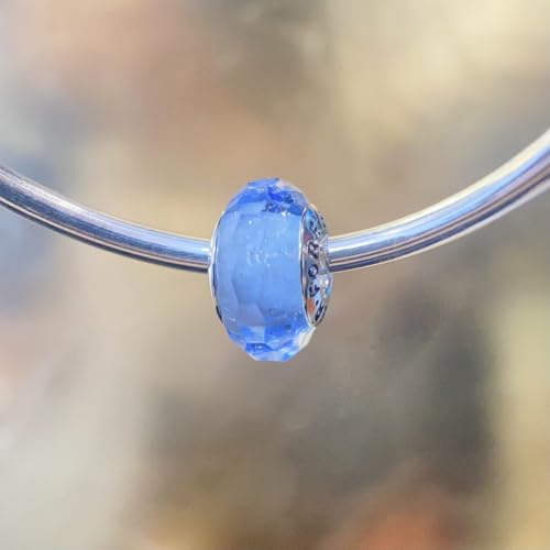 Murano Glass Charms for Pandora Bracelets Authentic 925 Sterling Silver Charms for Bracelets Glass Charms fit Pandora Style Bracelet for Women4