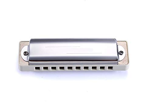 KIRANDIE 10 Trous Diatonic Blues Harmonica Incroyable 20 réglage spécial dans Un Peigne Blanc (Color : Key of F) - Les Beatles, Paul McCartney, John Lennon, RIngo Starr, George Harrison KIRANDIE 10 Trous Diatonic Blues Harmonica Incroyable 20 réglage spécial dans Un Peigne Blanc (Color : Key of F) – Image 3