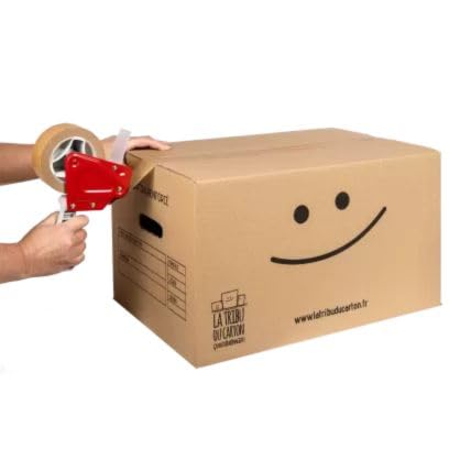 Pack 20 cartons spécial stockage
