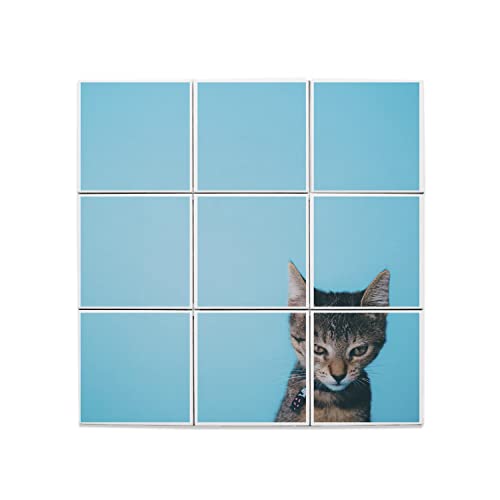 Carreaux céramique chaton mignon et boudeur pour une déco humoristique