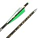 AMEYXGS Crossbow Bolts - 12 Pack of 16/17/18/20/22 Inch Camo Carbon Shaft Arrows with Replaceable Tips and Shield Rubber Feathers (Green, 20 inch)