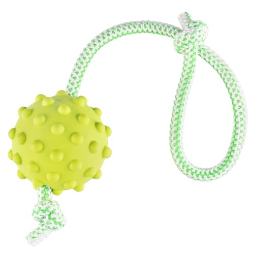FANCY PETS Pallina con Corda per Cani - Palla con Punte per Cani - per Cani di Piccola e Media Taglia - Regalo per Cane