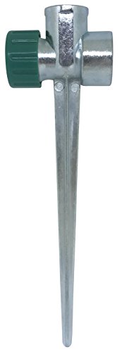 Pique einzige lose 55728 Cover