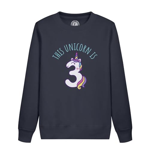 Sweatshirt enfant motif licorne vêtement anniversaire 3 ans et mode fantastique