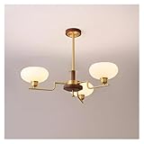 Le lustre maximise le sentiment de luxe, est magnifique et absolument époustouflant, que les lumières soient allumées ou éteintes.