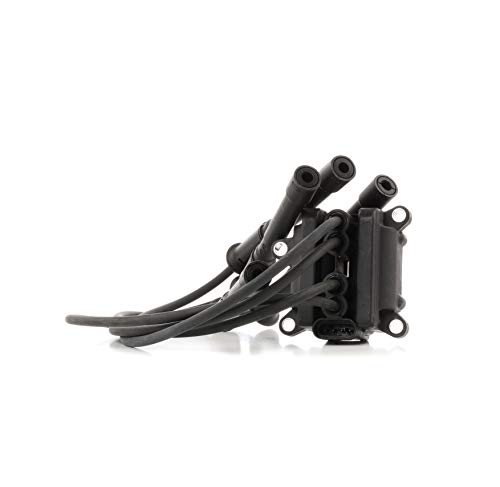 Marelli 060717101012 Bobina Accensione