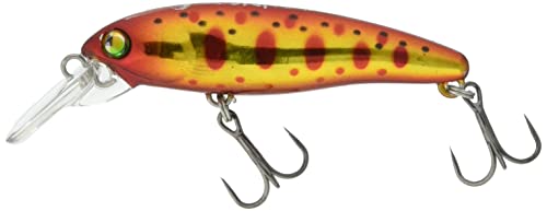 HALCYON SYSTEM(nVIVXe) [ 55  43 AJL}