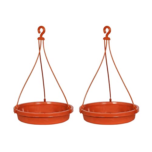 Image of Hanging Bird Feeder Tray, Brown, Plastic, Pack of 2, for Wild Birds, Parrots, and Hummingbirds