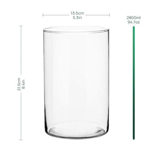Glaszylinder Blumenvase 21,5 cm mit Durchmesser 13,5 cm aus Glas