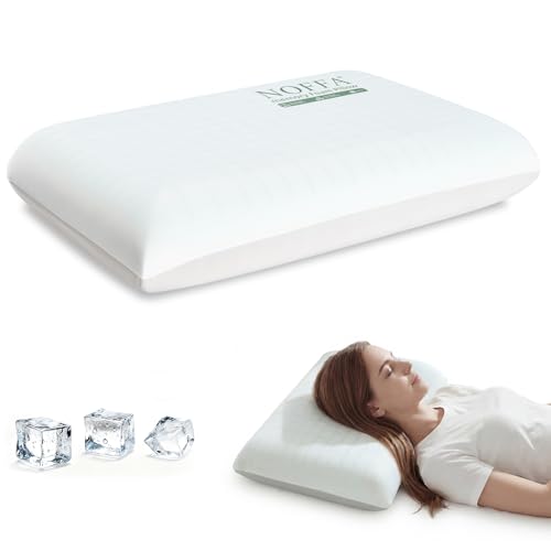 Almohada Espuma viscoelástica 60x40x11 cm