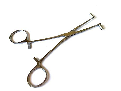 Tube Septum Forceps 6 inch Piercing Tool