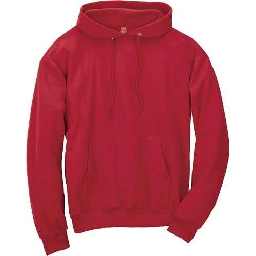 Hanes mens Pullover Ecosmart Hooded Sweatshirt P170 Hoody