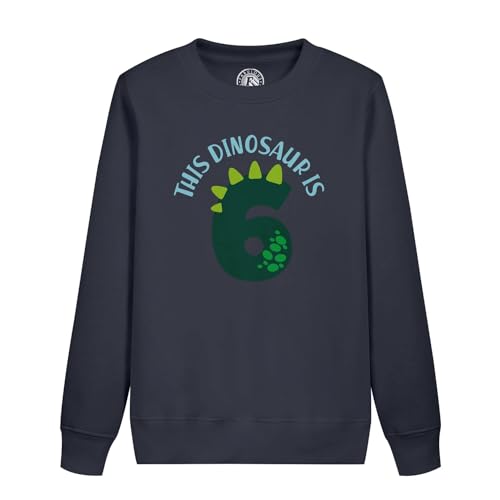 Sweatshirt dinosaure 6 ans anniversaire pour vêtement de fête et cadeau enfant