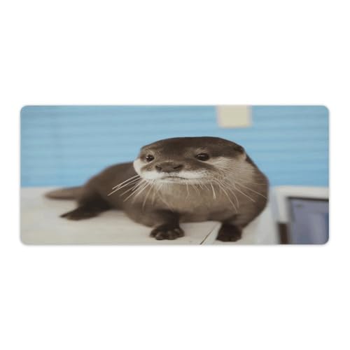 Sous-main loutre mignon grand tapis de souris imperméable pour bureau