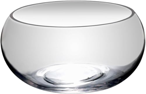 丸型透明ガラス金魚水槽 小型卓上サイズ 水耕栽培・観葉植物兼用 おしゃれ屋内装飾容器(花瓶/プランター機能付き) (25cm)