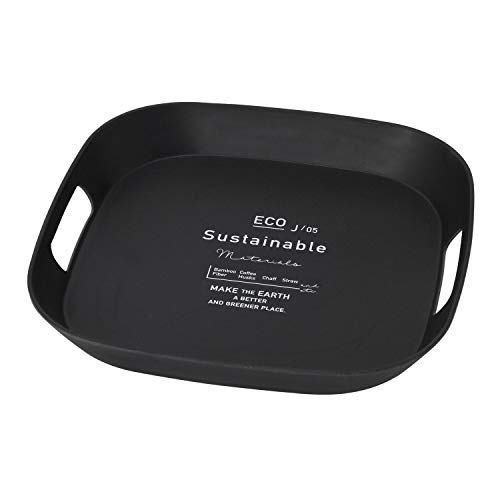 SPICE OF LIFE サスティナブル エコトレイ BENIGN ブラック Sサイズ 34cm TBGF1031BK