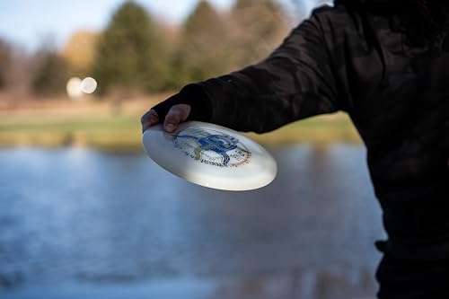 Dynamic Discs Misprint Disc Golf Set, 10-Pack, Drivers, Fairways, Midranges by D·D DYNAMIC DISCS - Used condition - Image 2