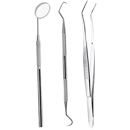 YNR Teeth Tooth Tarter Pet Plaque Scraper Calculus remover Animal Tooth Scaler CE (3 Pcs Kit)