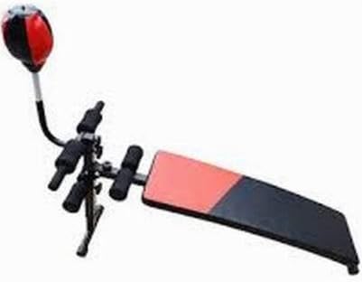 Adjustable Incline Curved Workout and Sit Up Bench with Speed Ball