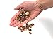 Salveo Nueces de jabón natural indio, 1 kg, detergente ecológico para lavandería