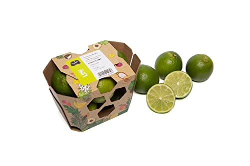 F.lli Orsero - Lime, 300g