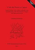 L'Eta del Ferro a Capua. Aspetti distintivi del Contesto Culturale e suo Inquadramento nelle Dinamiche di Sviluppo dell'Italia Protostorica (BAR International)