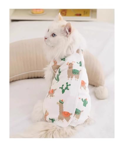 Homie Pettie �y�b�g�� �� �� �L �p�㕞 ���X ��D�E������p��E�F�A �����E�畆�ی� �r�ߖh�~ �G���U�x�X�E�F�A �Ȃ��^ �p�W���} ������ �� ������? �����іh�~ ��앞 �ȑf�� �ʋC�� �y�� �S�J�Œ��E�ȒP ���^�����p �I�X�E���̎q��