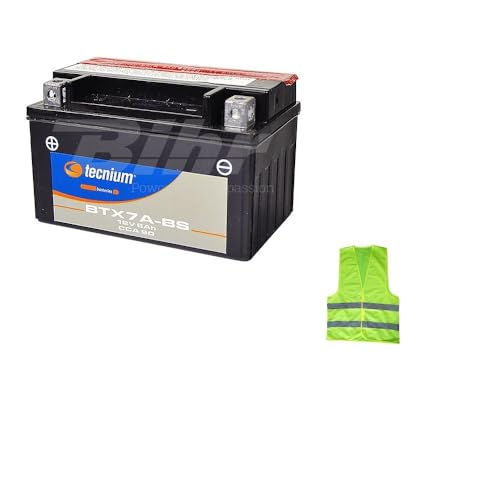Compatible avec Yamaha XC Cygnus/XC Cygnus R 125 ANNÉE 1995 al 2003 Batterie YTX7A-BS TECNIUM PRÊTE ET CHARGÉE pour Utilisation pour Moto Scooter Batteries...