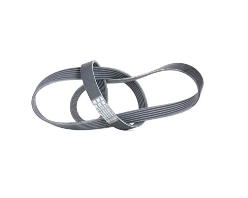 6PK1310 Courroie Continental trapézoïdale nervurée alternateur climatisation auto
