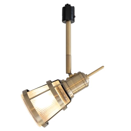 Ampoule _Ng[p X|bgCg E17 V[OCg dʔ AeB[NS[h g KX Nqut mNg