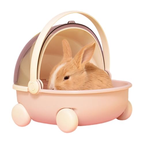 nX^[nEXETMyʏP[WXnlY~````nEX