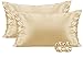 Vielit Lot de 2 housses de coussin en satin 40 x 80 cm, semblables à la soie, taie d'oreiller en satin pour cheveux et peau (champagne)