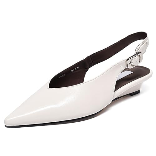 Women's Closed Pointed Toe Low Wedge Slingback Pumps with Adjustable Ankle Strap Fashion Slip-On Comfortable Flat Dress Shoes for Business Office Work Prom